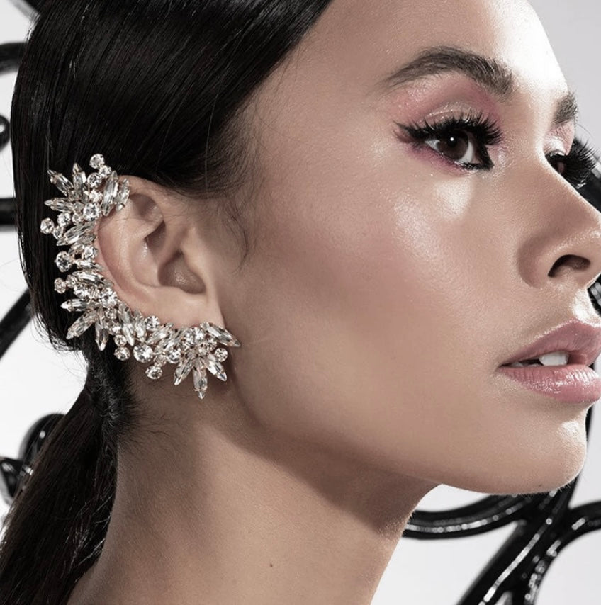 Luxury Right One Piece Silver Earring