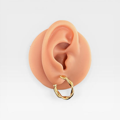 Everyday Gold Hoop Earrings
