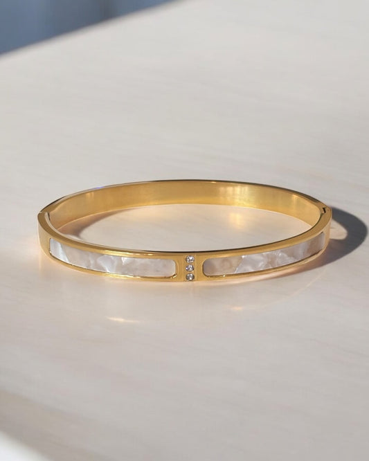 Luxurious Titanium Steel Bangle Bracelet