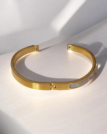Luxurious Titanium Steel Bangle Bracelet