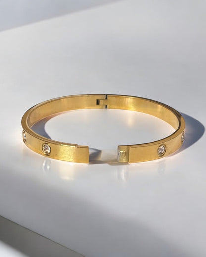 Luxurious Titanium Steel Bangle Bracelet