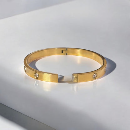 Luxurious Titanium Steel Bangle Bracelet