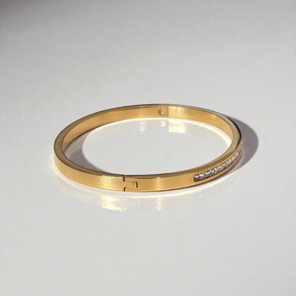 Titanium Steel Bangle Bracelet