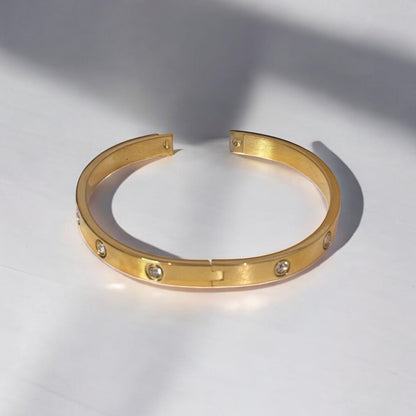 Luxurious Titanium Steel Bangle Bracelet
