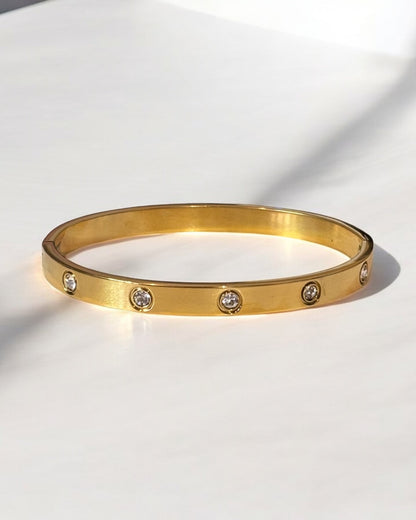 Luxurious Titanium Steel Bangle Bracelet