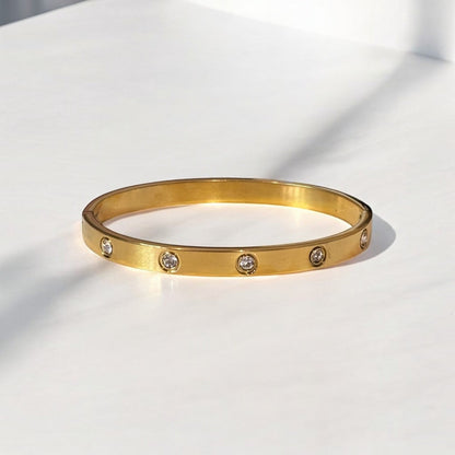 Luxurious Titanium Steel Bangle Bracelet