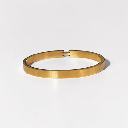 Luxurious Titanium Steel Bangle Bracelet