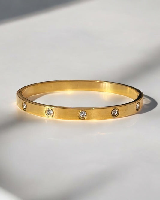 Luxurious Titanium Steel Bangle Bracelet
