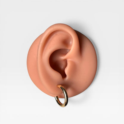 Mini Gold Hoop Earrings