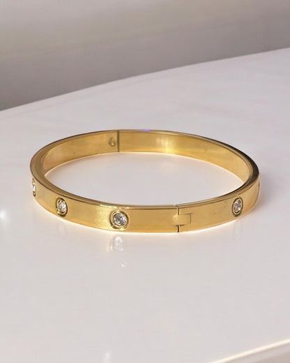 Luxurious Titanium Steel Bangle Bracelet