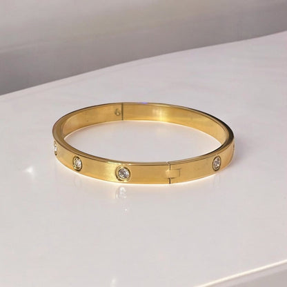 Luxurious Titanium Steel Bangle Bracelet