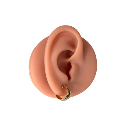 Everyday Small Hoop Earrings