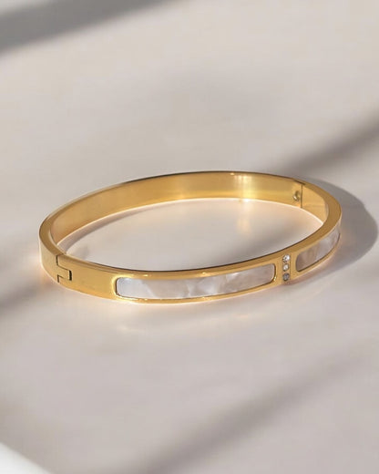 Luxurious Titanium Steel Bangle Bracelet