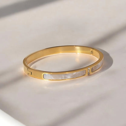 Luxurious Titanium Steel Bangle Bracelet
