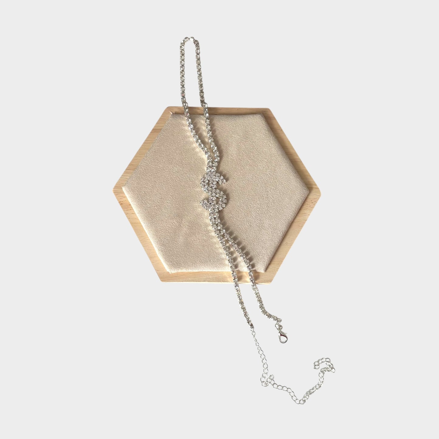 Dollar Sign Silver Anklet