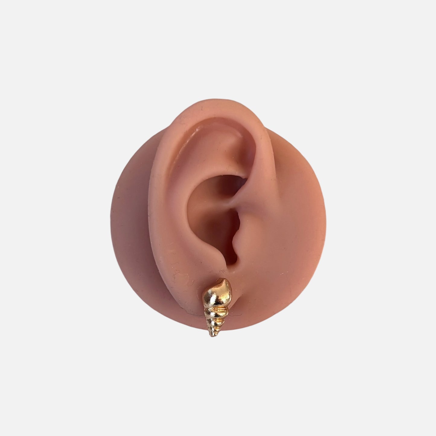 Mini Gold Conch Shell Stud Earrings