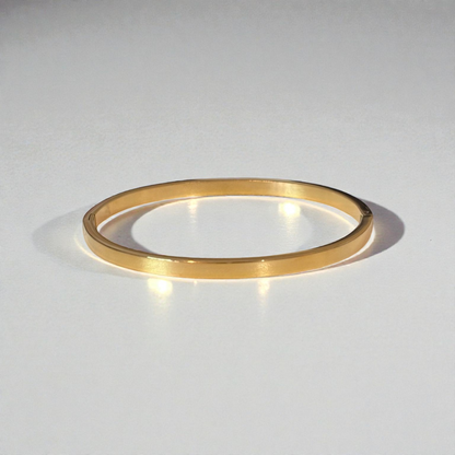 Titanium Steel Bangle Bracelet