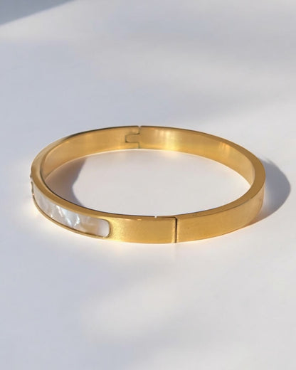 Luxurious Titanium Steel Bangle Bracelet