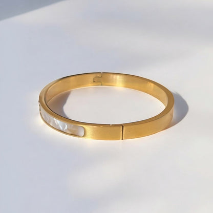 Luxurious Titanium Steel Bangle Bracelet