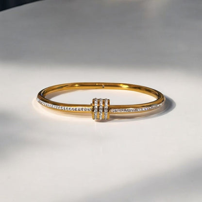 Luxurious Titanium Steel Bangle Bracelet